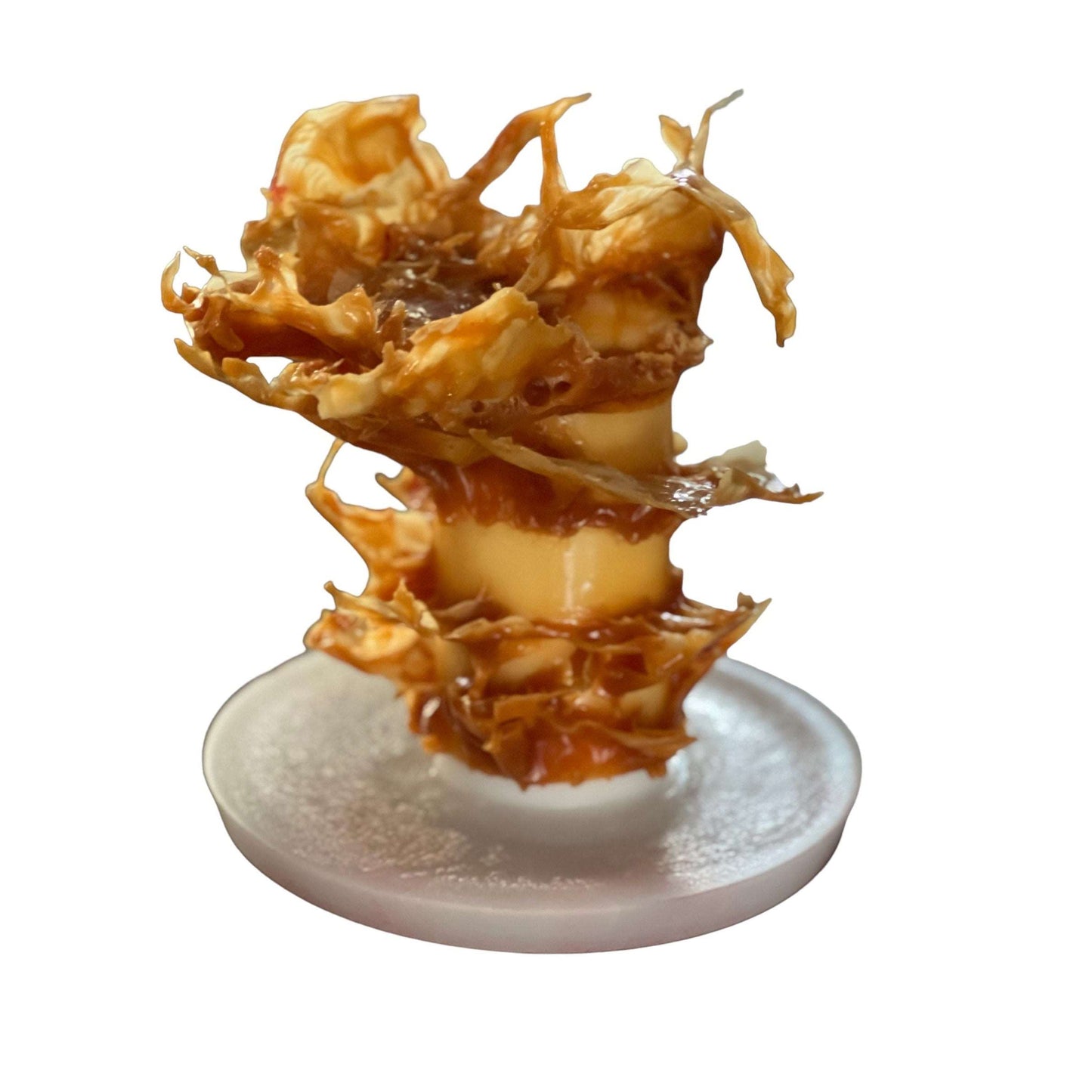 Evolution Candle Exclusive at WMODA - Candle Nerds