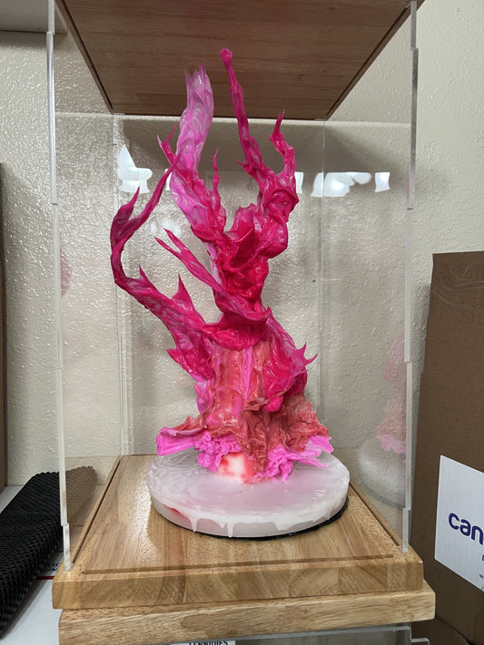 Evolution Candle Display Case